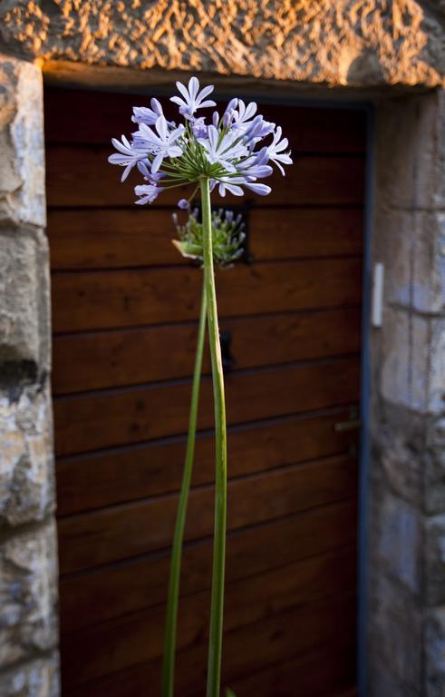Hébergement de vacances The Nest - A Romantic Vacation In Ein Kerem - *