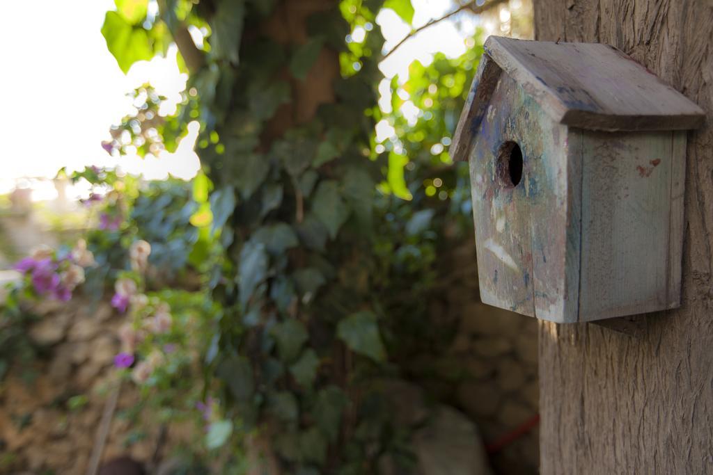 Hébergement de vacances The Nest - A Romantic Vacation In Ein Kerem - *