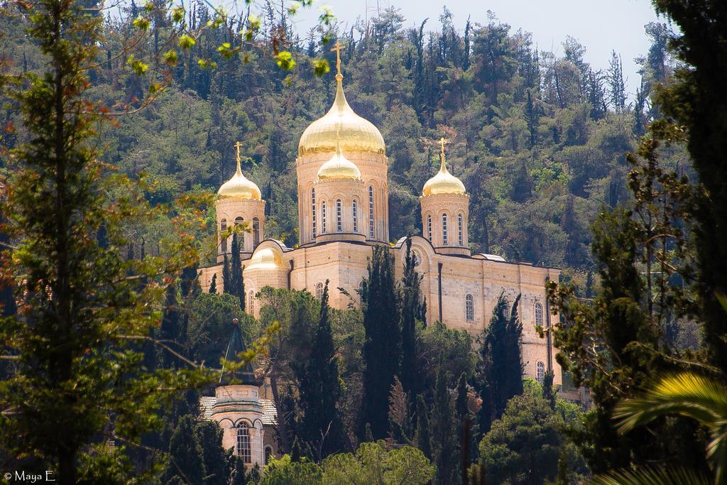 The Nest - A Romantic Vacation In Ein Kerem - Hébergement de vacances *