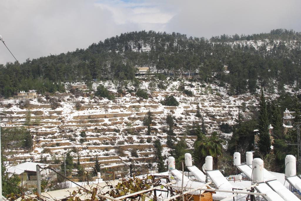 The Nest - A Romantic Vacation In Ein Kerem - *